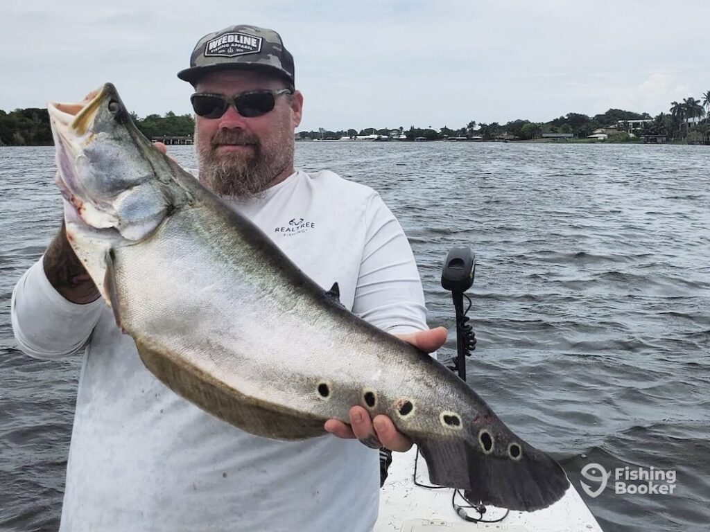 A man in a baseball cap and sunglasses sitting on a boat on a Florida lake while holding a sizeable Clown Knife Fish.