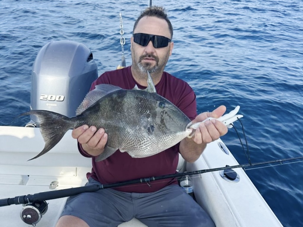 A man on a boat wearing sunglasses and holding a Triggerfish, while his fishing rod is across his lap.