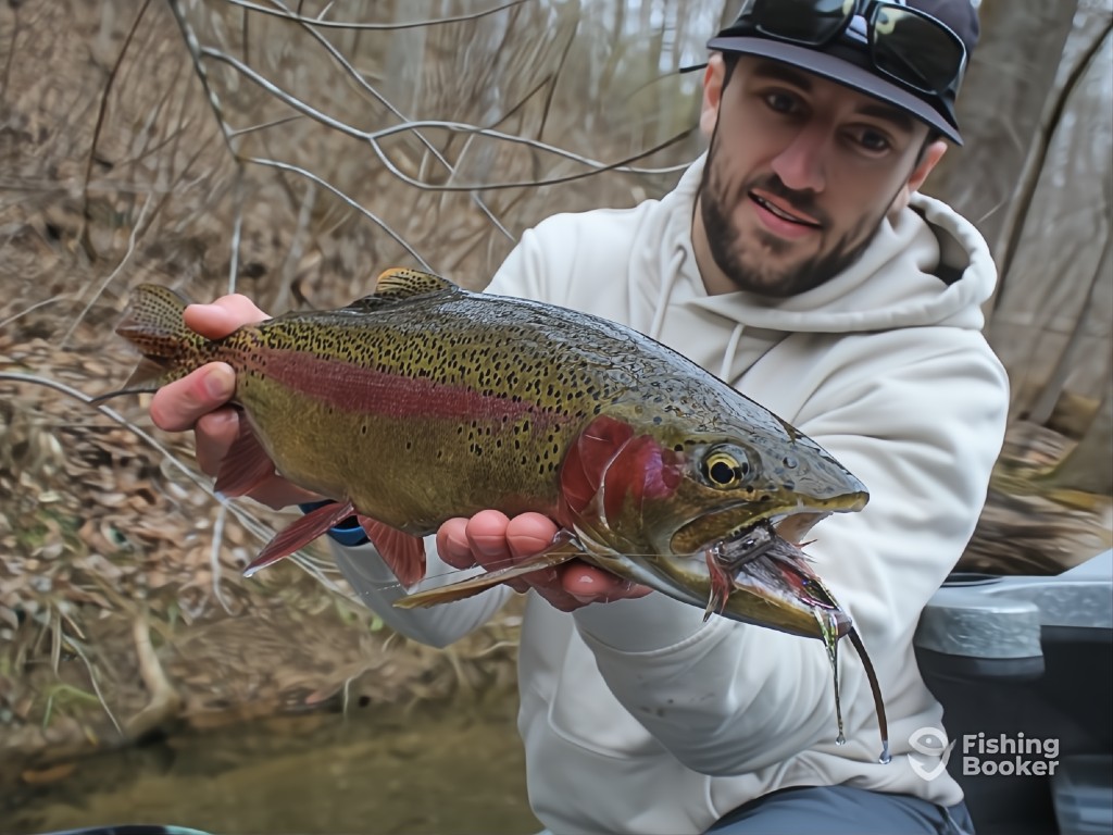 A man in a hoodie and cap holding a large Rainbow Trout near a creek in a wooded area, showing off the thrill of Trout fishing in Tennessee.