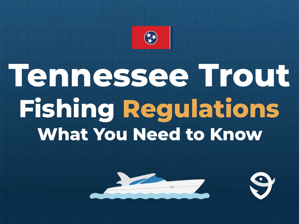 An infographic showing the Tennesee flag along with text that says "Tennessee Trout Fishing Regulations. What You Need to Know" against a dark blue background, featuring a vector of a fish and the FishingBooker logo.