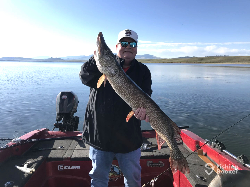 A person on a red fishing boat holds a large Northern Pike, showing off the excitement of Colorado fishing seasons against a scenic lake and distant hills.