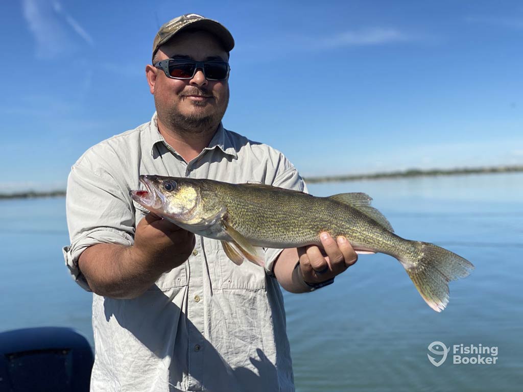 A man wearing sunglasses and a cap holds a freshly caught Walleye on a boat, enjoying calm water and clear skies in Colorado.