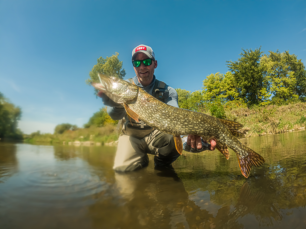 A man stands in water up to his waist and shows off a large Pike he caught in the same river on a clear day.