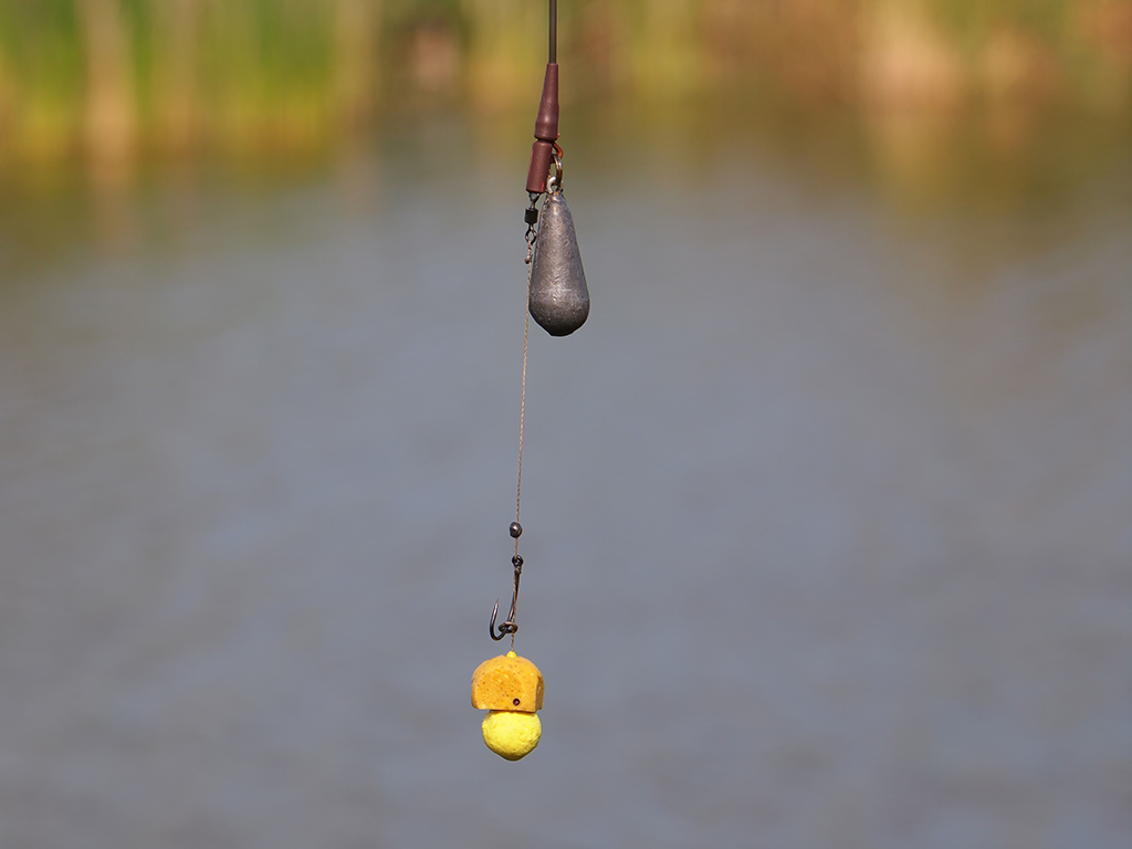 A closeup of a bait ball for Carp on the end of a fishing line, with a leader and sinker visible against the background of a pond.