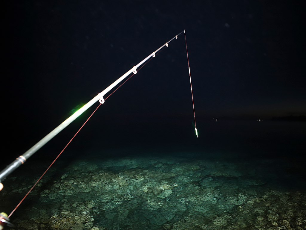A rod with bait suspended from it hangs above clear water at night time.