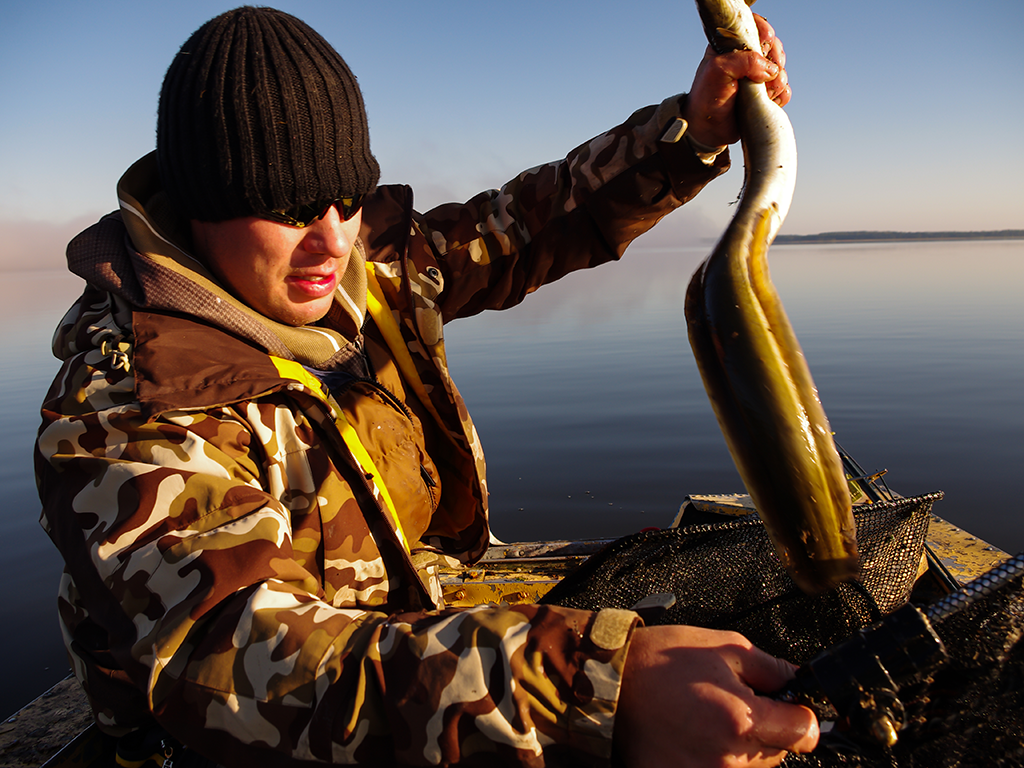 A man in a woolly hat and sunglasses struggles to hold an Eel next to a calm lake on a cold, clear day.
