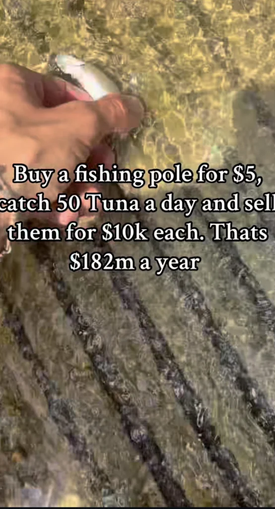 Фото руки мужчины, держащей маленькую наживку в мелкой воде, с текстом на экране: 'Купи удочку за 5 долларов, поймай 50 тунцов в день и продай их по 10 000 каждый. Это 182 миллиона долларов в год.'