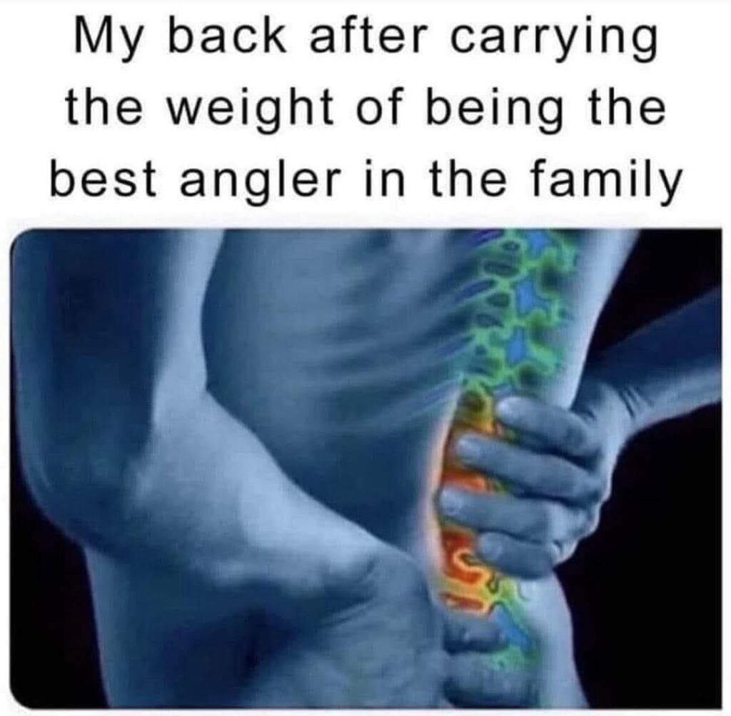Анимация нижней части спины с красной подсветкой позвоночника, обозначающая боль, с текстом: 'Моя спина после того, как я ношу груз звания лучшего рыболова в семье.'