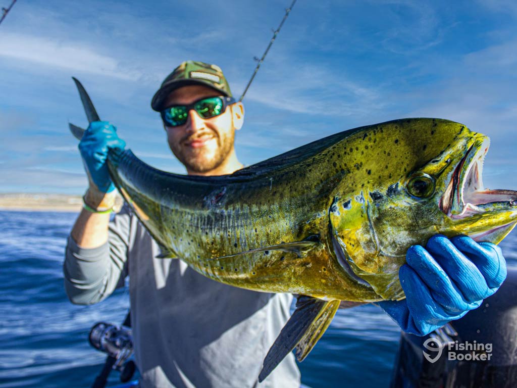 An angler wearing gloves and sunglasses as he holds a large Mahi Mahi on a charter boat, with the ocean and blue sky in the background.