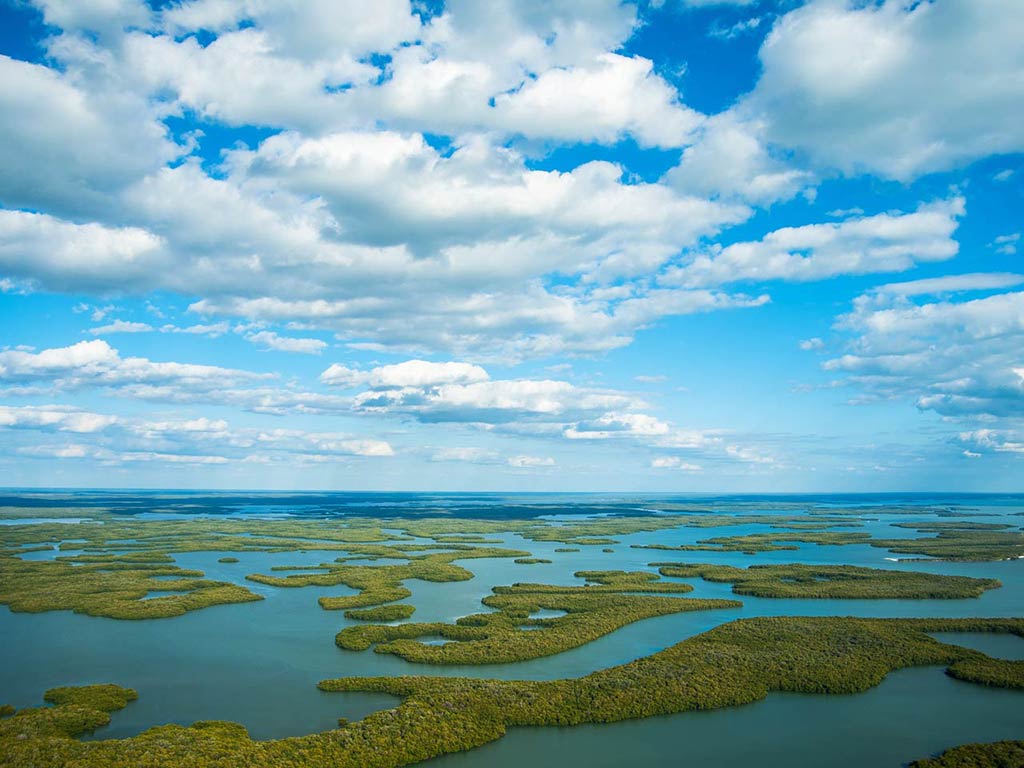 An aerial view of a coastal wetland where green islands are scattered across blue water under a partly cloudy sky.