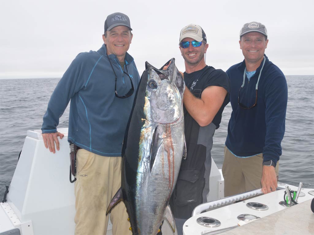 Three men pose with a large Bleufin Tuna caught around the Stellwagen Bank on a cloudy day.