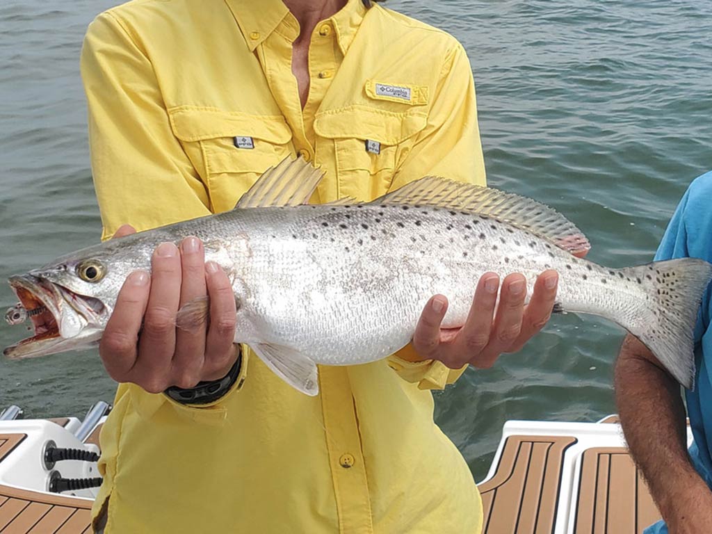 Крупный план пятнистого фореля, которого держит человек в желтой рубашке на лодке.