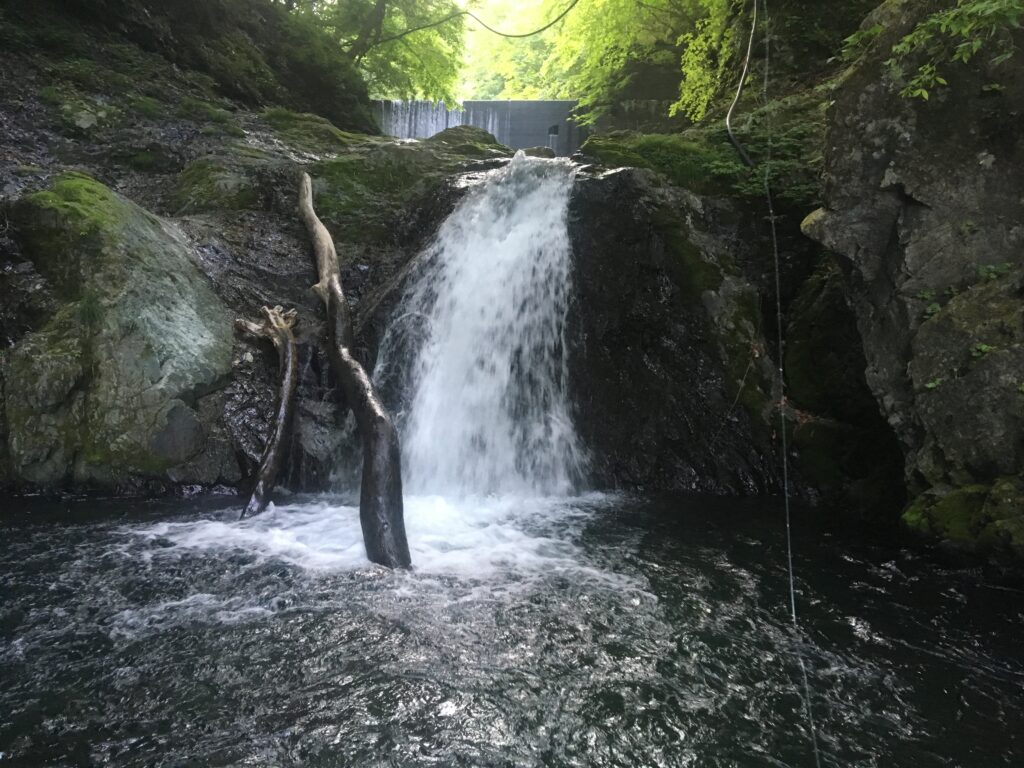 A small waterfall flows over dark rocks into a pool perfect for Iwana fishing, with mossy stones and driftwood up front; there are trees and a concrete structure in the background.