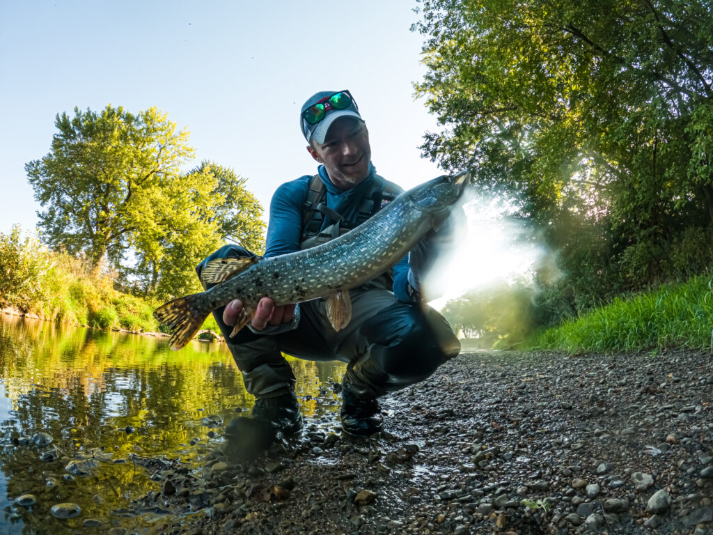 AJ Houser kneeling on a riverbank in fishing gear, holding a Pike with both hands. Trees and water are behind them under a clear sky.