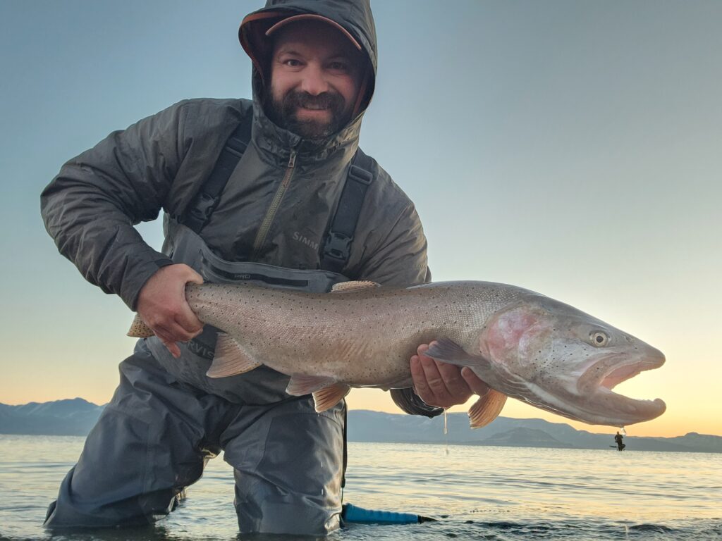 Someone's standing in waders, holding a large Cutthroat Trout while knee-deep in shallow water at sunset, with mountains and a calm lake behind them.