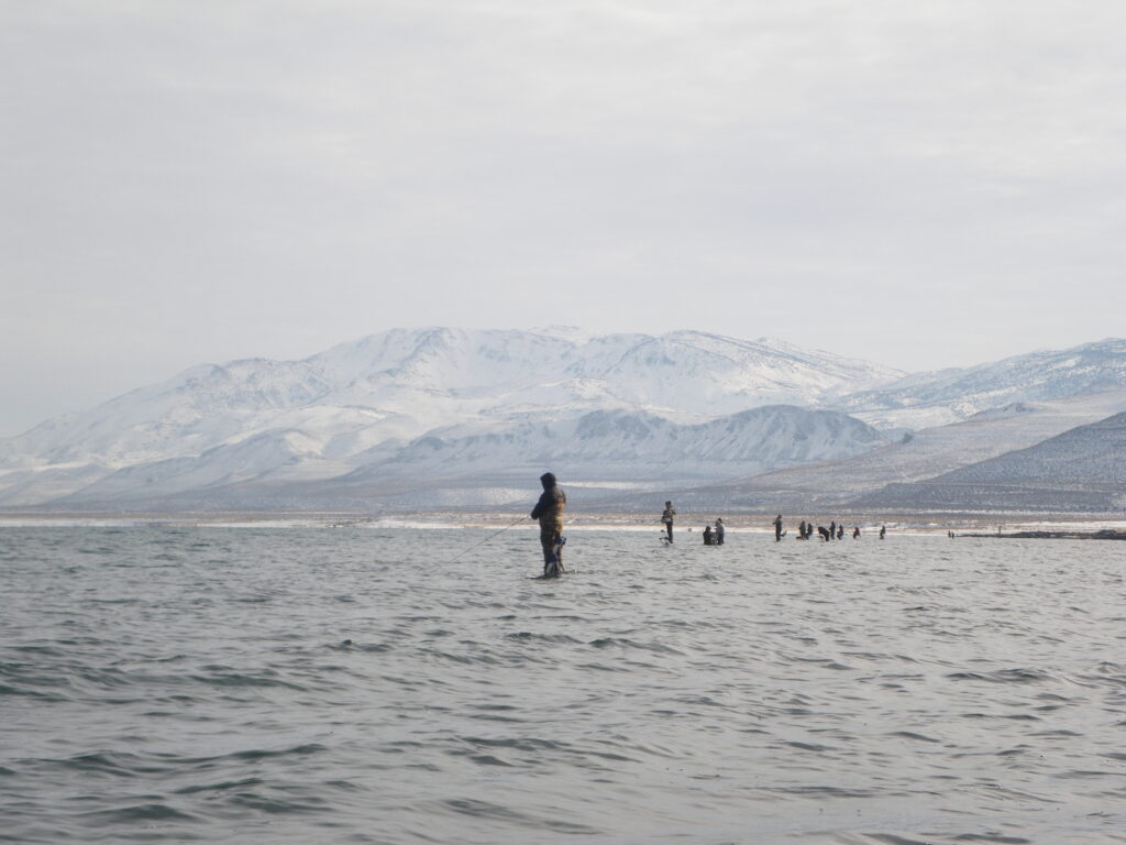 People are standing in a lake fishing, with snow-covered mountains and a cloudy sky behind them. They've got their lines out.