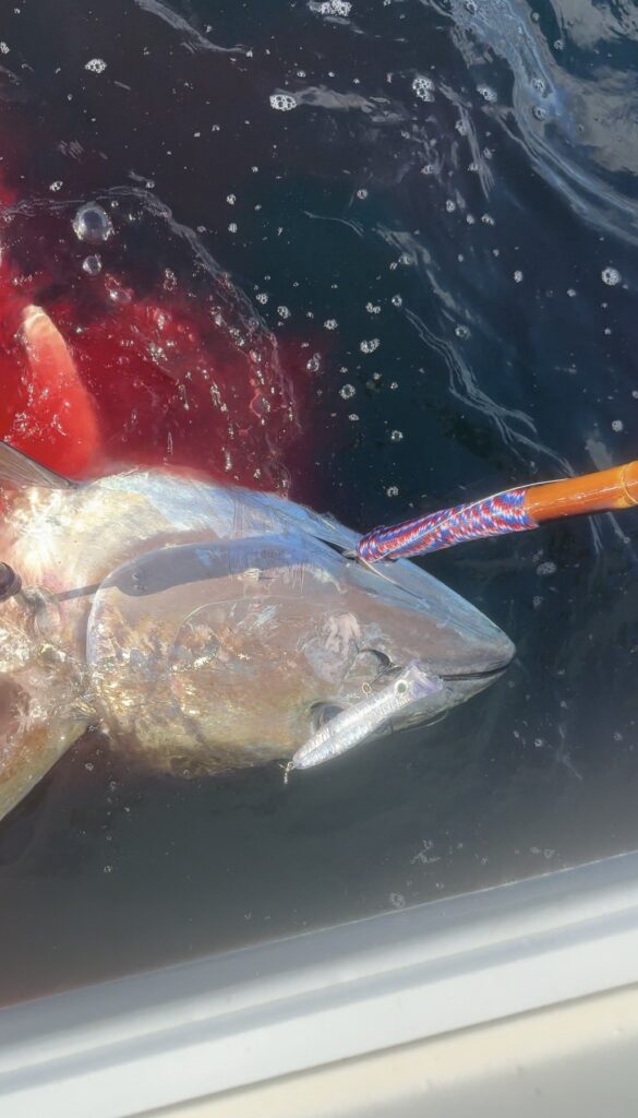 A large Yellowfin Tuna hooked on a fishing line, partly out of the water near a boat, with a lure in its mouth and some red coloring in the water around it.