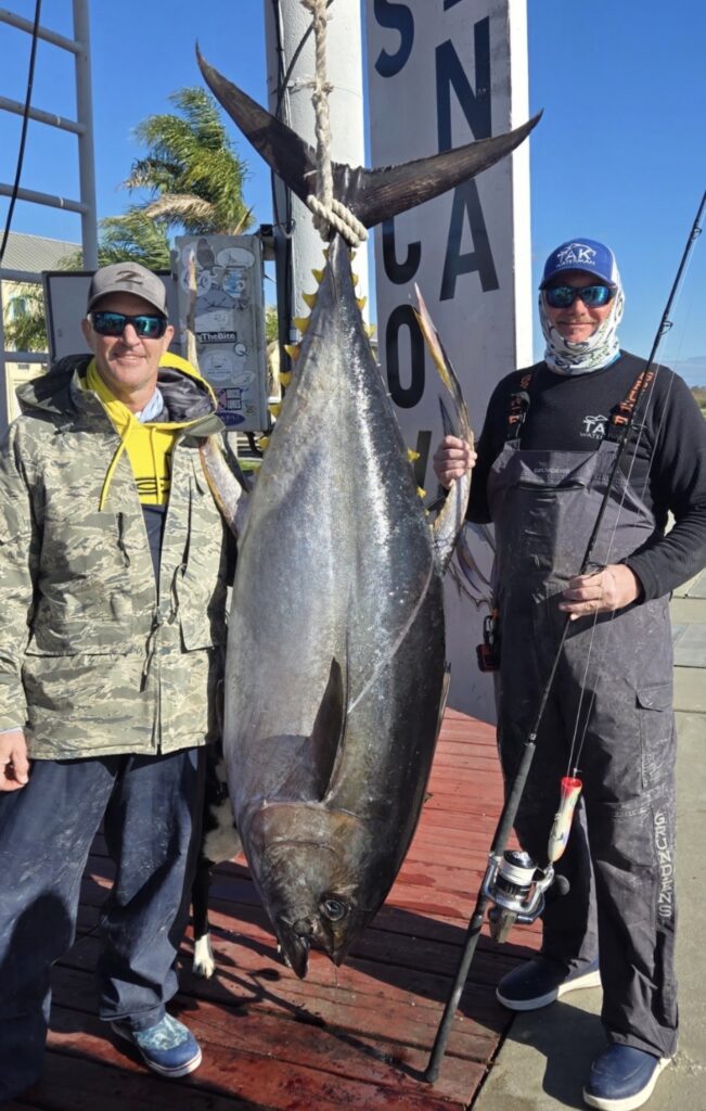 Two men pose next to a large Yellowfin Tuna hanging vertically from a scale; one’s holding a fishing rod. They’re outdoors on a sunny day.