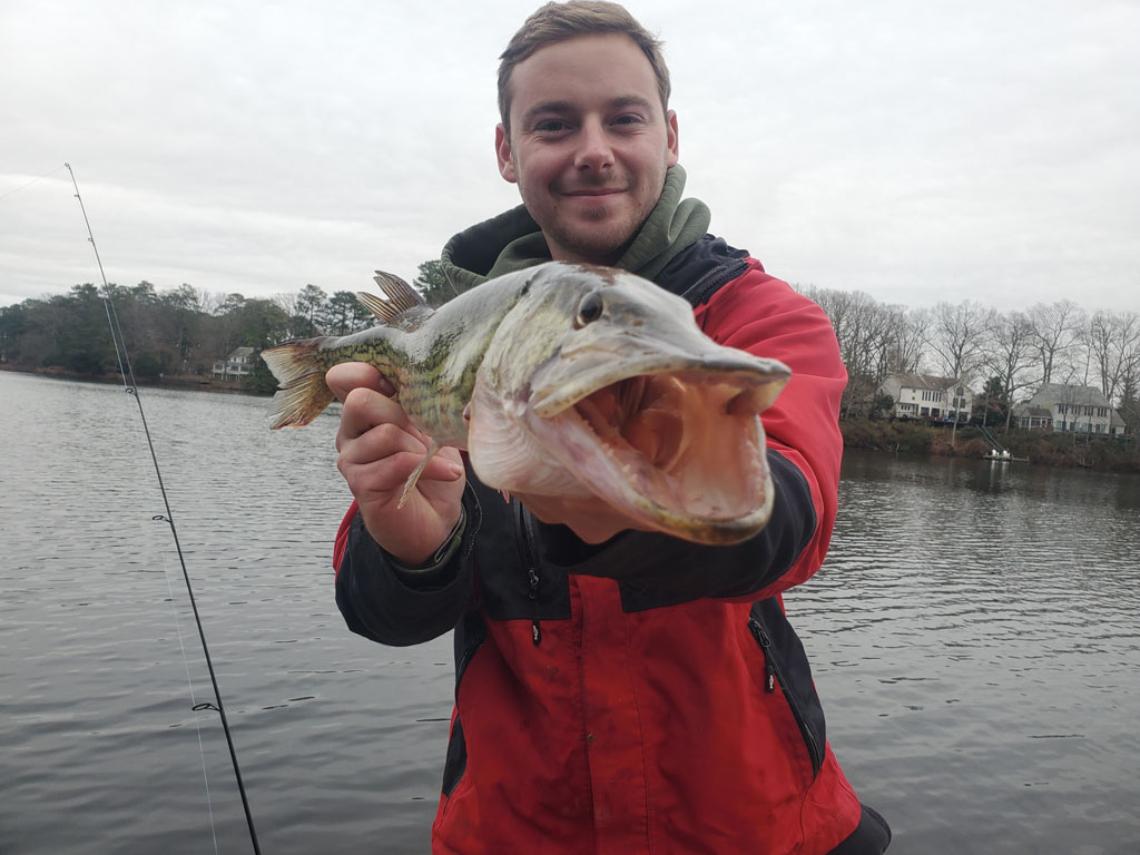 Someone in a red and black jacket's holding a big Fish with its mouth open, standing by a lake with trees and houses in the background.