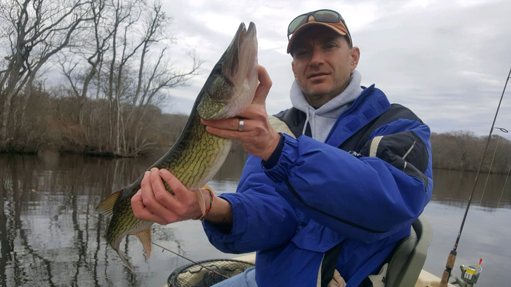 A man in a blue jacket and hat's holding a large Fish while sitting in a boat on a calm, overcast lake with bare trees in the background.