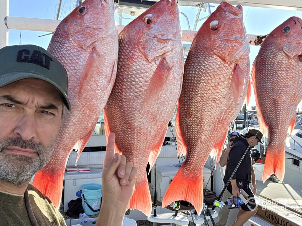 A man in a cap's pointing at four large Red Snapper hanging on hooks at a dock, with another person and boats in the background.