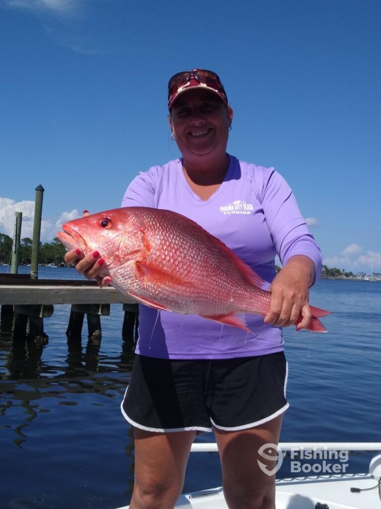 Someone's standing on a boat holding a large Vermilion Snapper caught during snapper season in Florida. The dock and water are visible in the background, and they're wearing a purple shirt and cap.