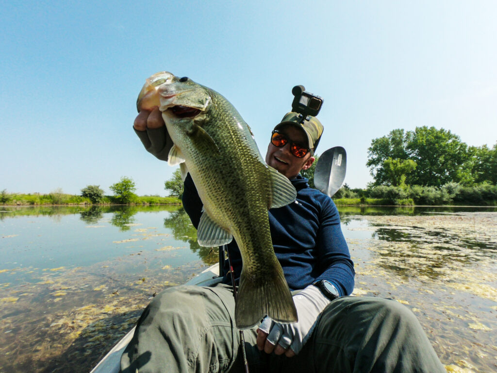 Someone's sitting in a kayak on a lake, holding up a large Bass with one hand&mdash;showing off their skills, wearing sunglasses, gloves, and an action camera cap.