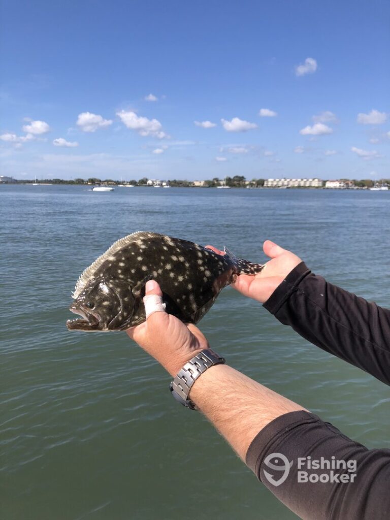 Someone's holding a Spotted Flounder fish above the water, with buildings on the distant shoreline and a blue sky overhead.