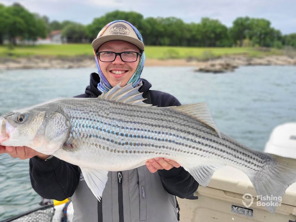 A happy angler holding a large Striped Bass on a Lake Texoma charter boat, showing why this spot's one of the top Memorial Day fishing destinations, with water and a tree-lined shoreline in the background.