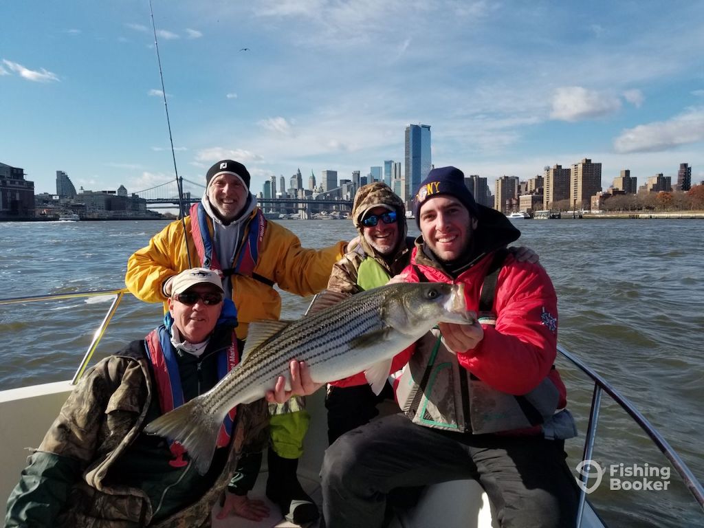 Four people on a boat are holding a large Striped Bass, with the New York City skyline and bridges in the background under a partly cloudy sky.