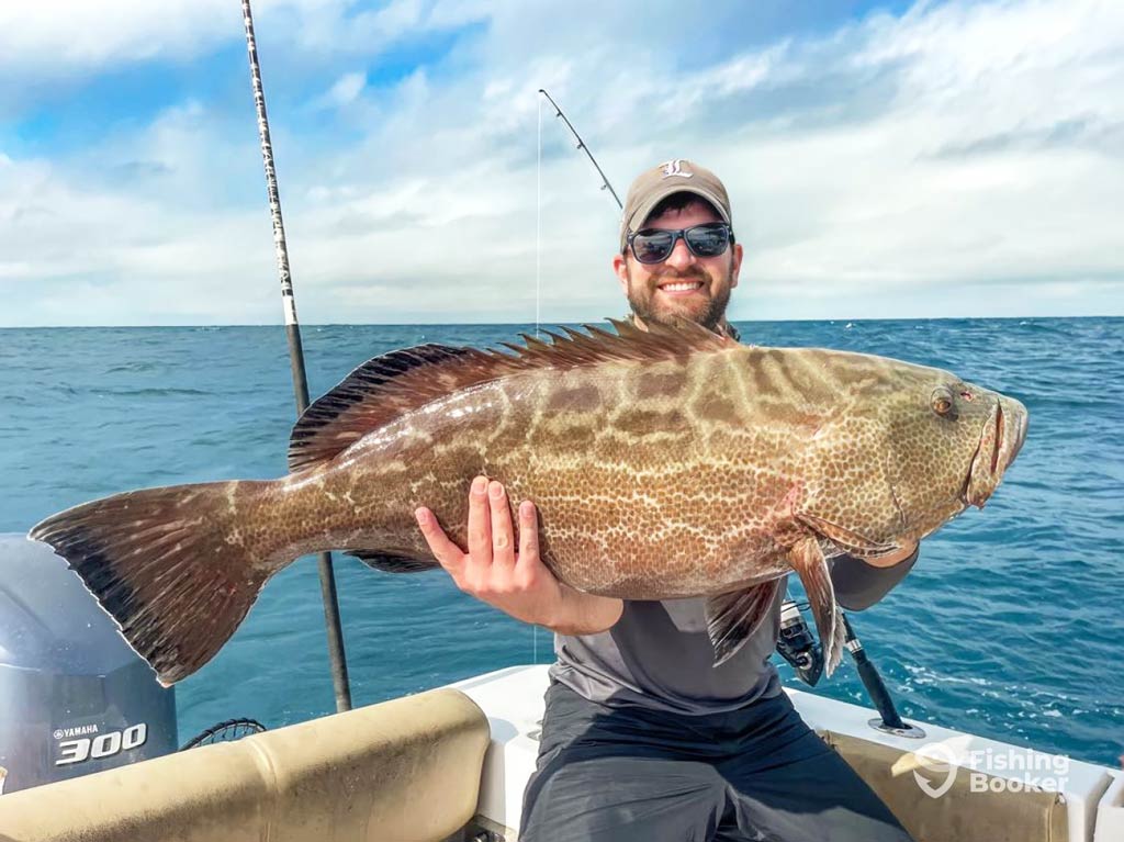 A man’s sitting on a boat holding a large Grouper, with fishing rods in the background