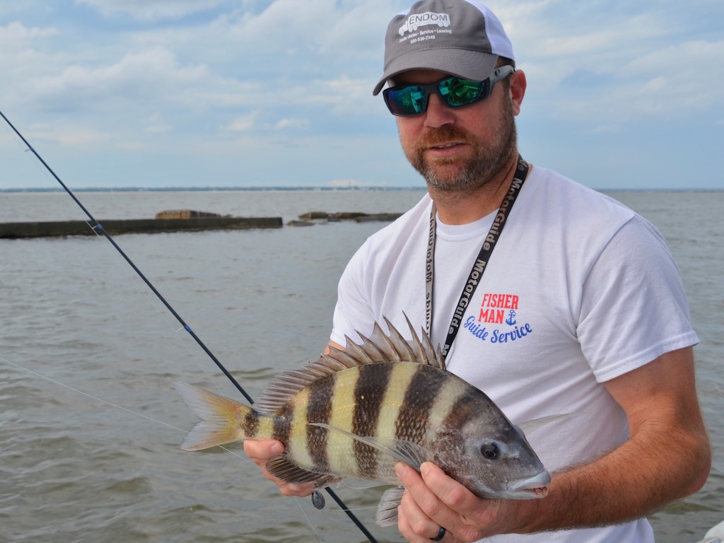 A man wearing sunglasses and a cap as he holds a Sheepshead fish near the water, fishing rod in hand.