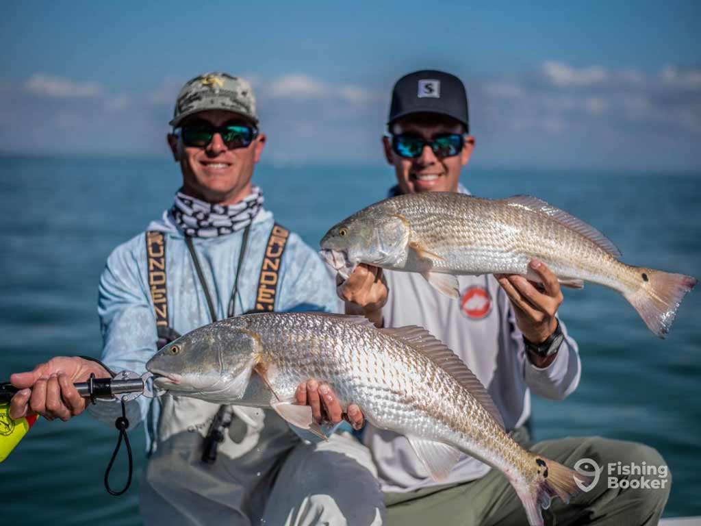 Two anglers are standing on a charter fishing boat and holding large fish, while posing and grinning at the camera during the peak Redfish season.