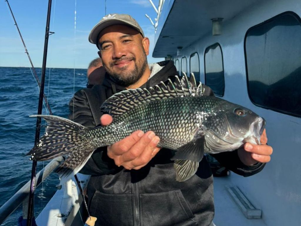 A man on a boat holding a freshly caught Black Sea Bass with patterned scales is smiling at the camera on a successful New Jerey fishing trip during the season