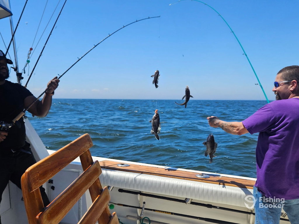 Two people on a boat hold fishing rods with several Black Sea Bass caught. The ocean and blue sky are in the background.