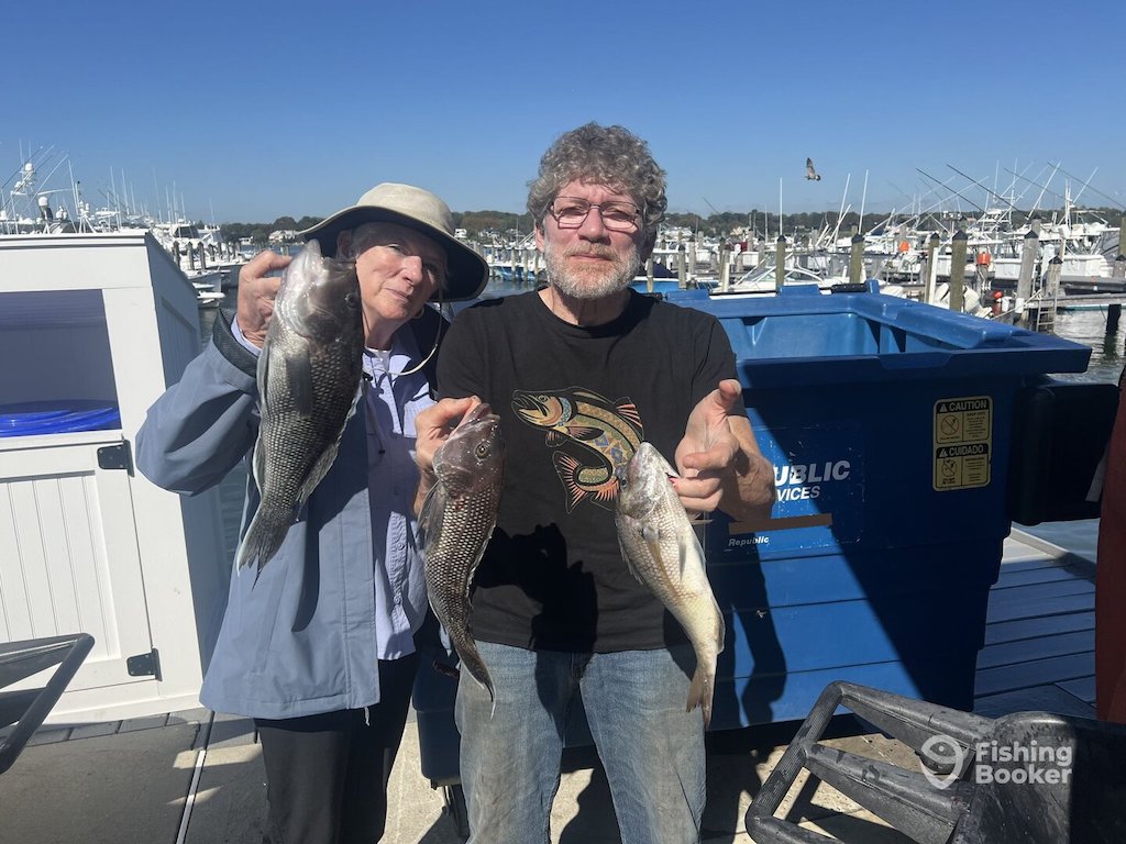 Two people stand on a dock during Sea Bass season in New Jersey, each holding a large Black Sea Bass. There are boats and a blue bin in the background.