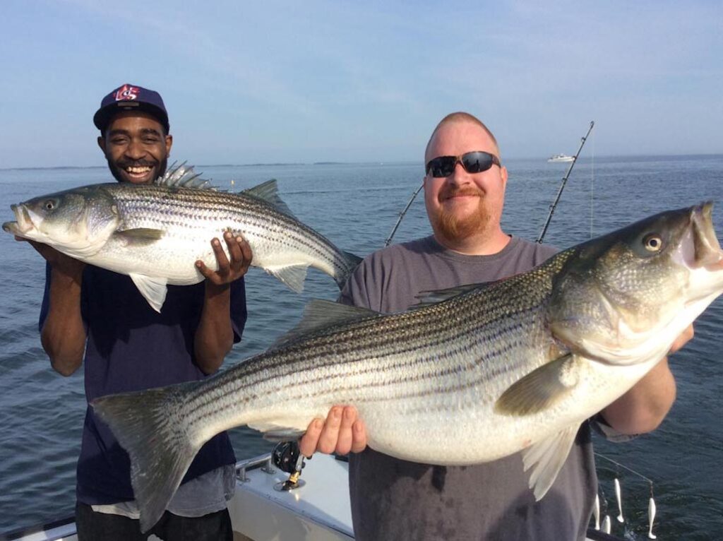 Two men on a boat are holding large Striped Bass, smiling, with fishing rods and open water in the background.