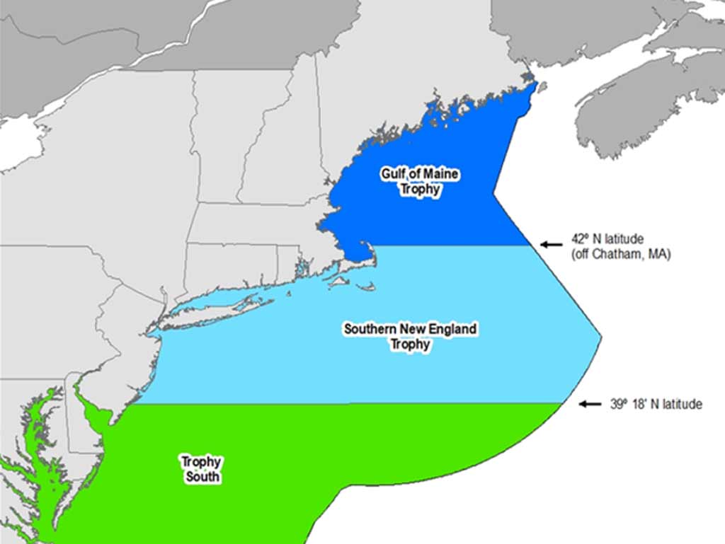 Map shows three Bluefin Tuna fishing regions on the U.S. East Coast: Gulf of Maine Trophy (blue color), Southern New England Trophy (light blue color), and Trophy South (green color), split by latitude lines.