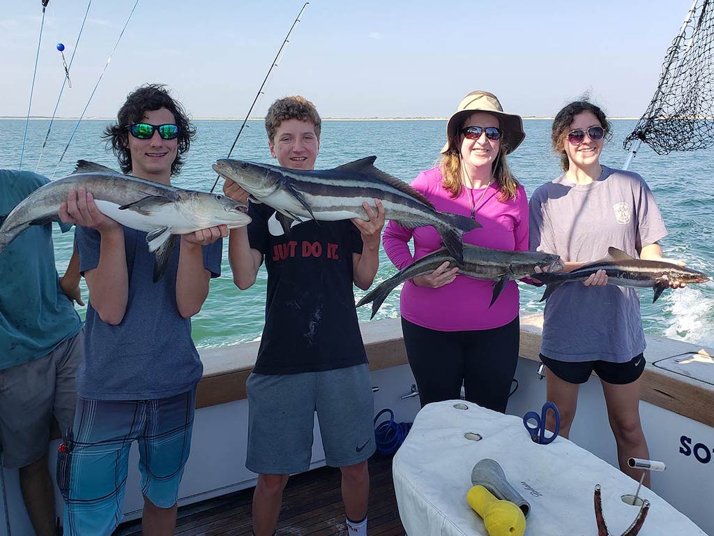 Four people on a boat are holding large Cobia, smiling at the camera during Cobia season in Virginia. You can see fishing rods and the ocean in the background.
