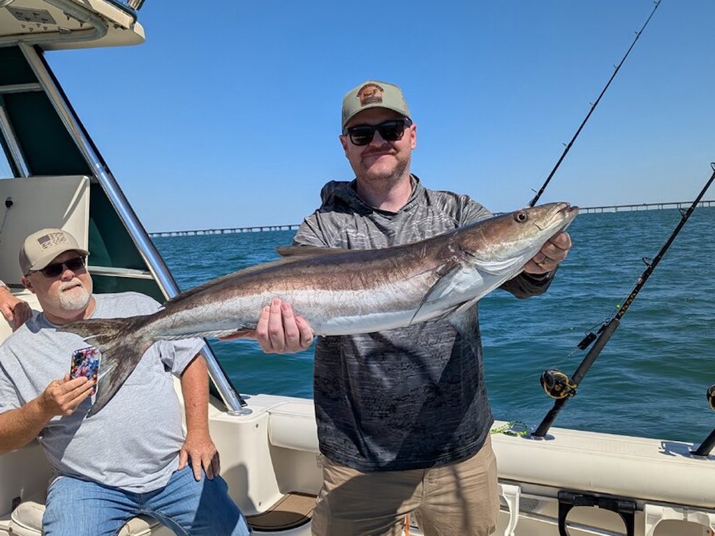 Two men are on a boat during Cobia season in Virginia; one's holding a large fish while the other is sitting with a phone. Fishing rods and water fill the background.