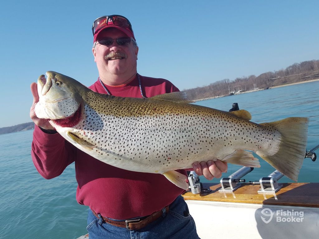 A man in sunglasses and a red shirt's holding a large spotted Trout on a boat, enjoying Wisconsin Trout seasons with water and trees in the background.