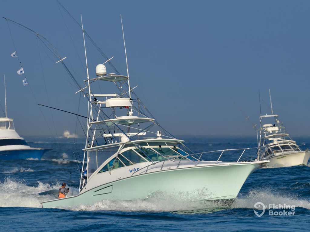 Several white sport fishing charter boats speed through ocean waves at the White Marlin Open, with antennas and fishing rods. 