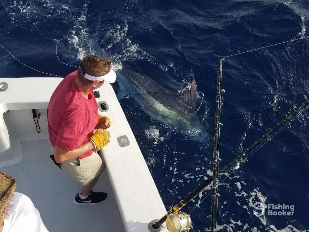 A Manteo deep sea angler in a red shirt is standing on a charter fishing boat, reeling in a large fish, possibly a Marlin, by the ocean surface, with several fishing rods nearby.