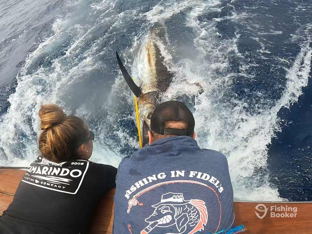 Two anglers on a boat lean over the edge, holding a large Marlin at the water’s surface, a catch worthy of the Virginia Beach Billfish Tournament; ocean waves churn around the fish.
