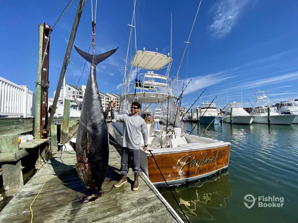 A proud angler is standing on a dock in the marina next to a big Bluefin Tuna caught on the Virginia Beach offshore fishing trip, with fishing boats and buildings in the background.