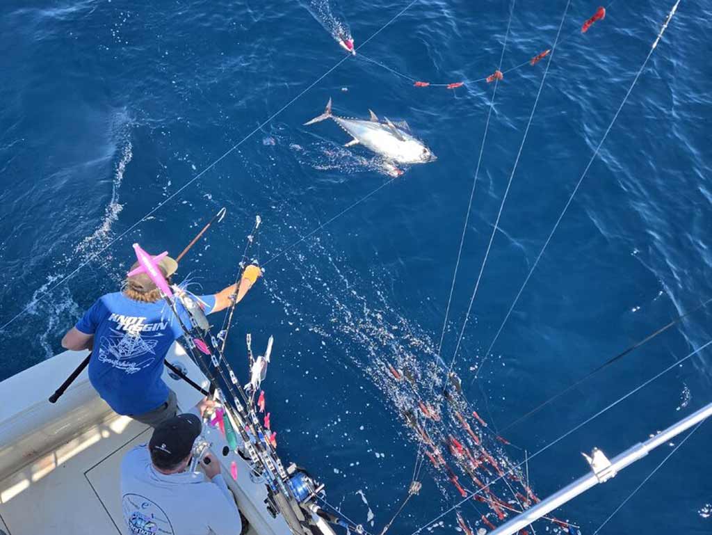Two anglers on a boat are reeling in a large Tuna from deep blue ocean water during their offshore fishing trip, surrounded by several fishing rods and lines.