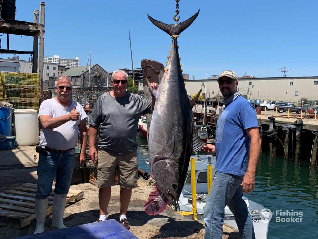 Three proud anglers pose by their Trophy Bluefin Tuna hanging from a hook at the dock, with fishing gear and industrial buildings around.