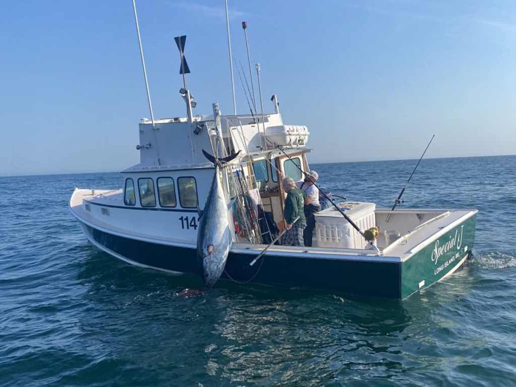 Two anglers on a white and green fishing boat with a big Tuna hanging off the side, floating on calm blue water under a clear sky.