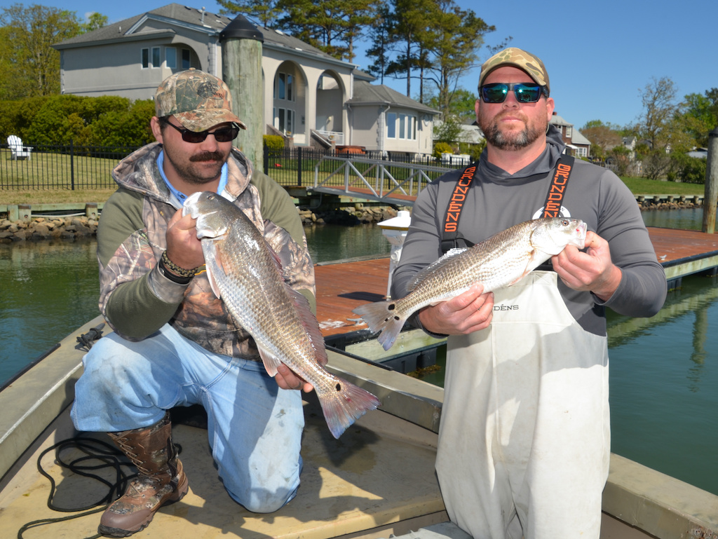 Two men are kneeling on a boat dock, each holding a Redfish. There’s a house, fence, and trees in the background.