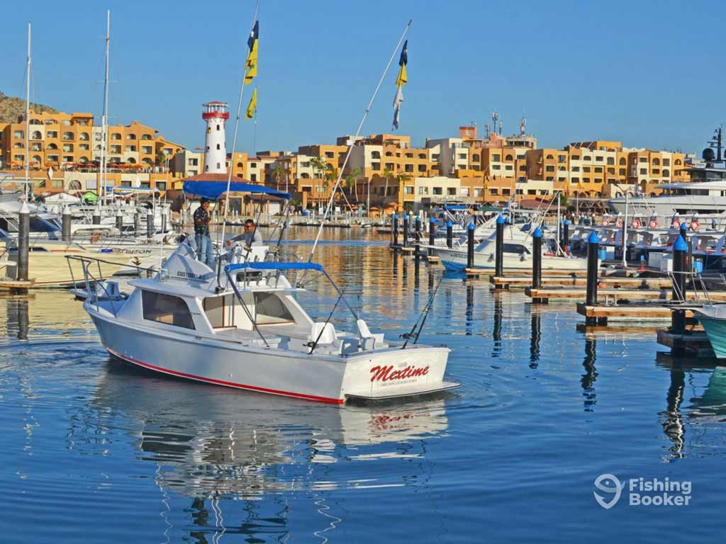 A white fishing boat is docked in a marina, with buildings and a lighthouse behind it under a clear Cabo San Lucas sky.